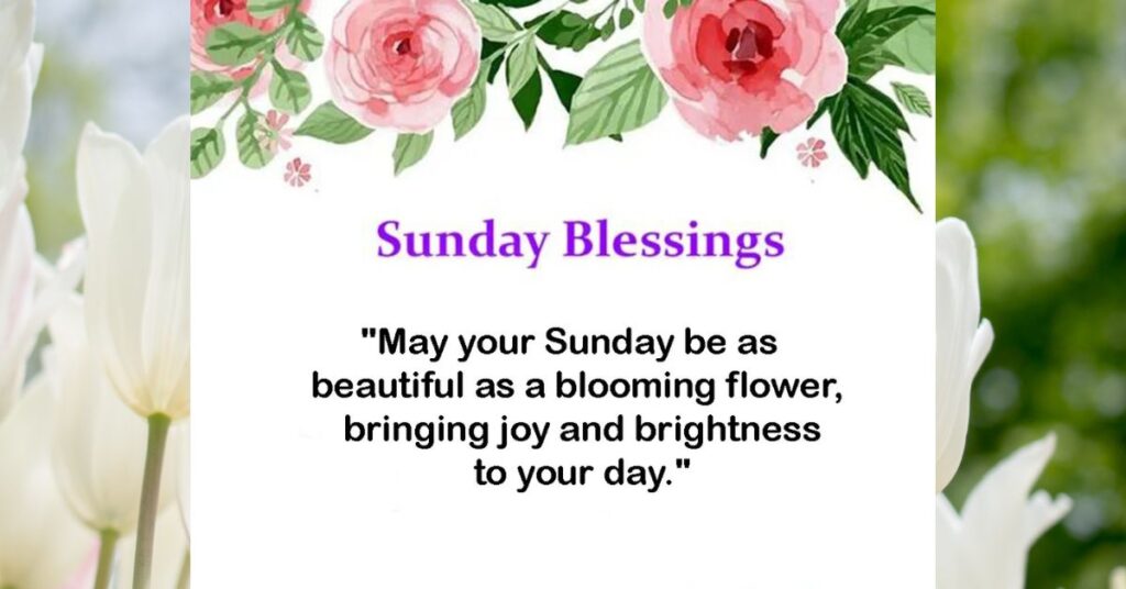 Blessings for Sunday