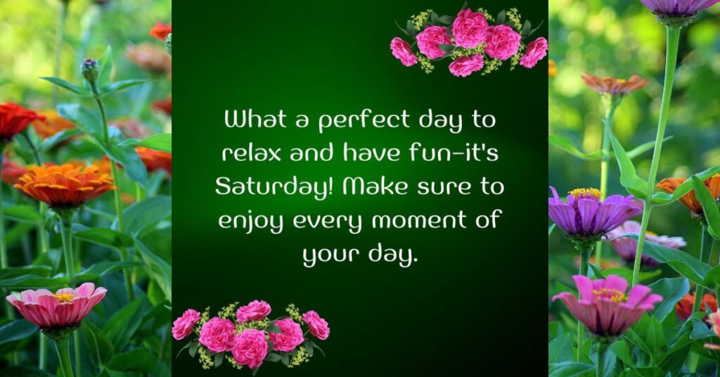 Charming Saturday Quotes for Joyful Moments