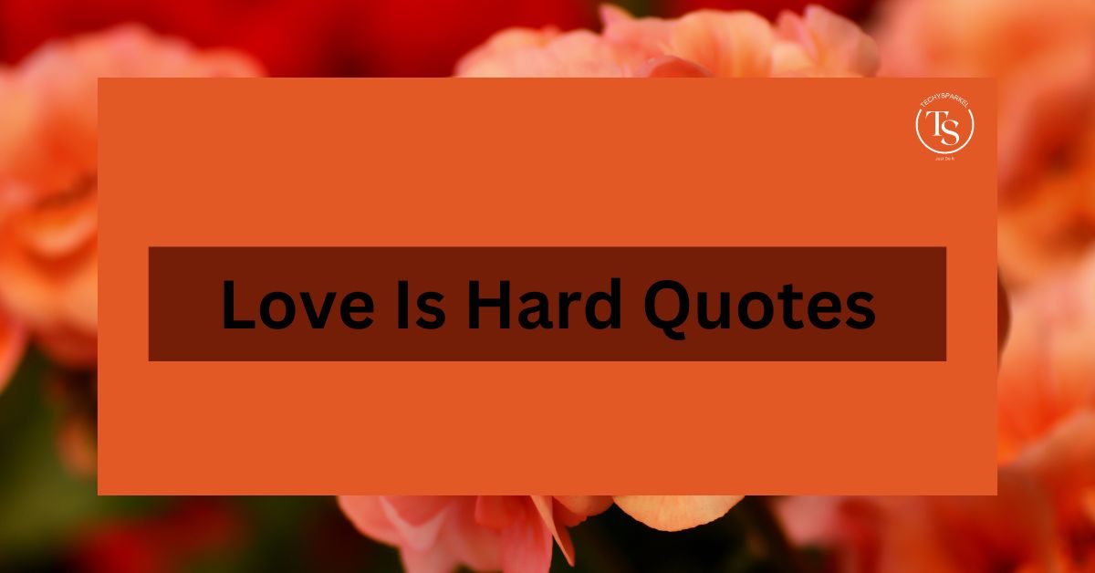 165+ Love Is Hard Quotes