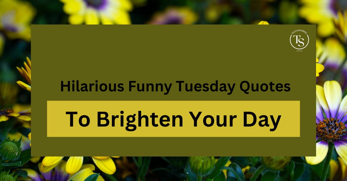 230+ Hilarious Funny Tuesday Quotes to Brighten Your Day