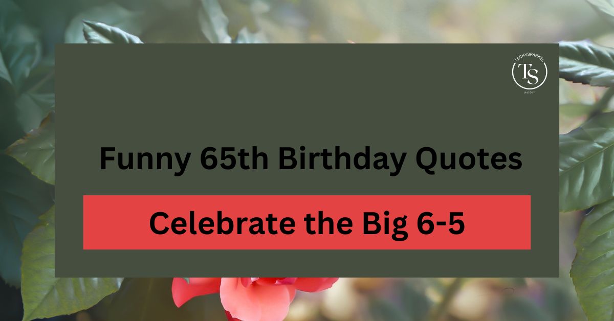 240+ Funny 65th Birthday Quotes to Celebrate the Big 6-5!